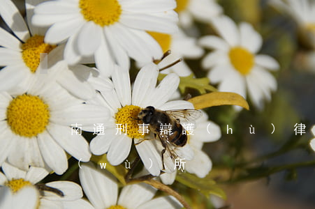 南通刑事辯護(hù)律師(南通的律師事務(wù)所)