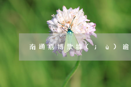 南通嘉博票據(jù)逾期