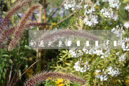 南通夫妻債務糾紛律師