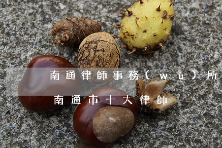 南通律師事務(wù)所哪家比較好(江蘇省南通市十大律師)