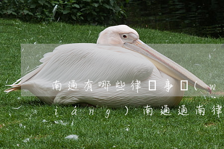 南通有哪些律師事務(wù)所比較強(qiáng)(南通通南律師事務(wù)所)