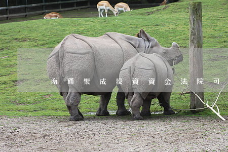 南通聚成投資資金法院可以查到嗎