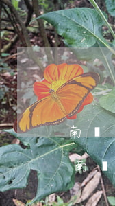南開(kāi)離婚案律師事務(wù)所(南開(kāi)離婚案律師事務(wù)所)