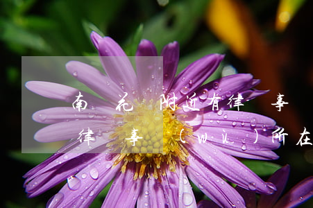 南開花園附近有律師事務(wù)所(花果園律師事務(wù)所在哪里)