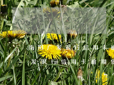 南阳广发银行信用卡逾期债务优化-南阳广发银行信用卡逾期债务优化了吗