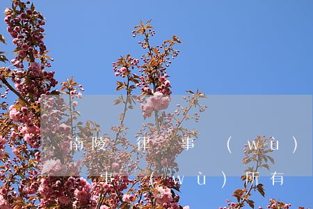 南陵縣律師事務(wù)所有幾家(南陵縣律師事務(wù)所有幾家)