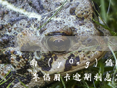 南陽(yáng)信用卡逾期利息(2021年信用卡逾期利息怎么算)