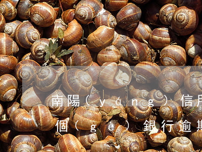 南陽(yáng)信用卡逾期多久上征信(各個(gè)銀行逾期幾天上征信)