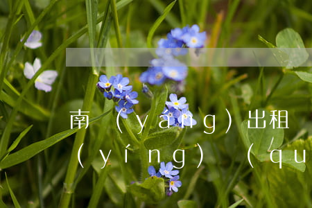 南陽(yáng)出租車經(jīng)營(yíng)權(quán)多少錢(南陽(yáng)汽車租賃公司)