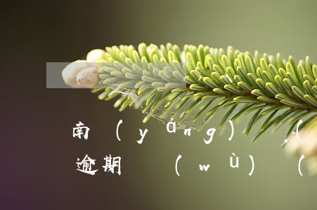 南陽(yáng)廣發(fā)銀行信用卡逾期債務(wù)優(yōu)化(廣發(fā)銀行信用卡 逾期)