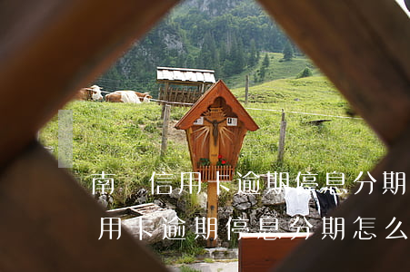 南陽信用卡逾期停息分期怎么申請-南陽信用卡逾期停息分期怎么申請的