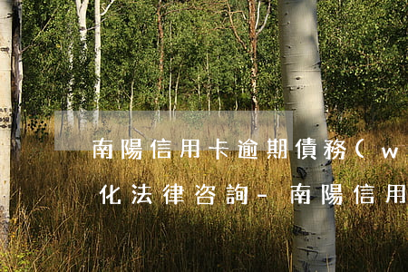 南陽信用卡逾期債務(wù)優(yōu)化法律咨詢-南陽信用卡逾期債務(wù)優(yōu)化法律咨詢電話
