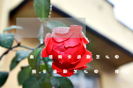 南陽信用卡逾期怎么申請停息掛賬-南陽信用卡逾期怎么申請停息掛賬的