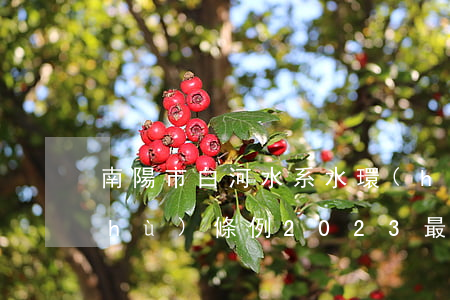 南陽市白河水系水環(huán)境保護(hù)條例2023最新修正版【全文】