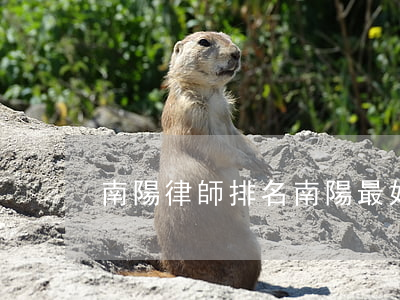 南陽律師排名(南陽最好律師排名)