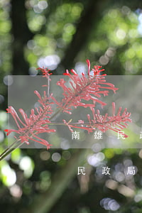 南雄民政局離婚上班時(shí)間(南雄市民政局婚姻登記處電話)