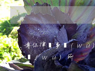 博仁律師事務(wù)所怎么樣(大仁律師事務(wù)所)