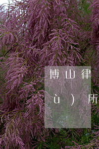 博山律師事務(wù)所(博山律師事務(wù)所在哪里)