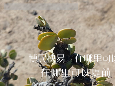 博民快易貸在哪里可以提前還款-博民快易貸在哪里可以提前還款啊