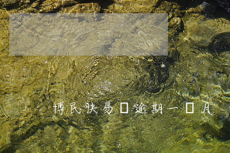 博民快易貸逾期一個月