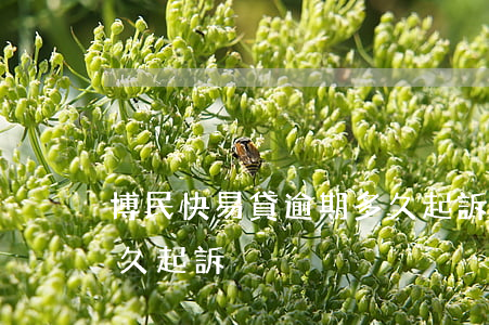 博民快易貸逾期多久起訴(博民快易貸逾期多久起訴)