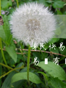 博民快易貸逾期會(huì)怎么樣(博民快易貸有沒(méi)還的嗎)