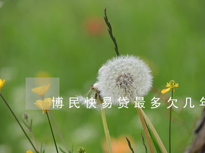 博民快易贷最多欠几年(博民快易贷多久放款)