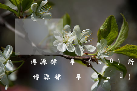 博源律師事務(wù)所正規(guī)嗎(博源律師事務(wù)所在哪)