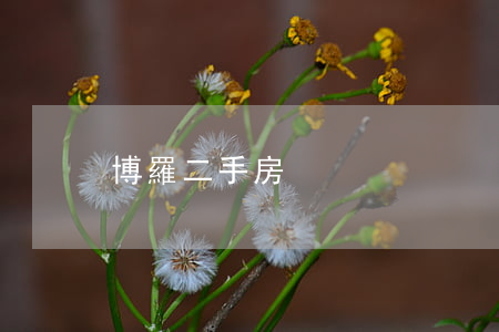 博羅二手房