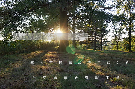 博興交通事故誤工費(fèi)(發(fā)生交通事故有誤工費(fèi)嗎)