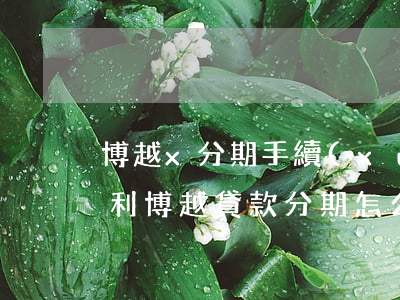 博越x分期手續(xù)費(fèi)(買吉利博越貸款分期怎么算)