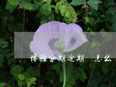 博雅分期逾期會怎么樣