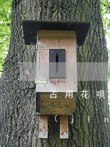 占用花唄逾期怎么處理(為什么花唄逾期已經(jīng)還了,但是用不了花唄)