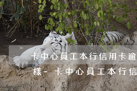 卡中心員工本行信用卡逾期會(huì)怎樣-卡中心員工本行信用卡逾期會(huì)怎樣處理
