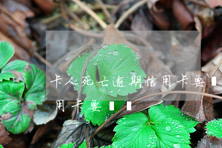 卡人死亡逾期信用卡要還嗎(卡人死亡逾期信用卡要還嗎)
