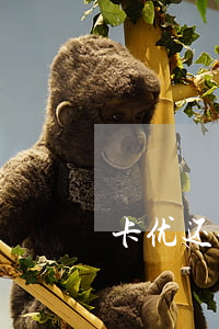 卡优还信用卡逾期了怎么办(逾期还款信用卡)