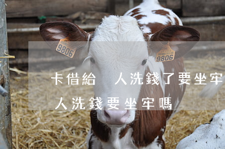 卡借給別人洗錢了要坐牢嗎(拿自己的卡給別人洗錢要坐牢嗎)