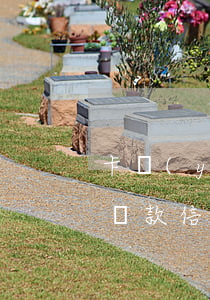 卡優(yōu)還信用卡逾期了怎么辦(逾期還款信用卡)