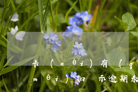 卡內(nèi)有錢(qián)銀行沒(méi)扣顯示逾期未還款-卡內(nèi)有錢(qián)銀行沒(méi)扣顯示逾期未還款怎么辦