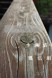 卡凍結(jié)了能協(xié)商分期嗎（信用卡逾期凍結(jié)能協(xié)商分期嗎）