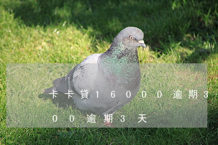 卡卡貸16000逾期3天-卡卡貸16000逾期3天