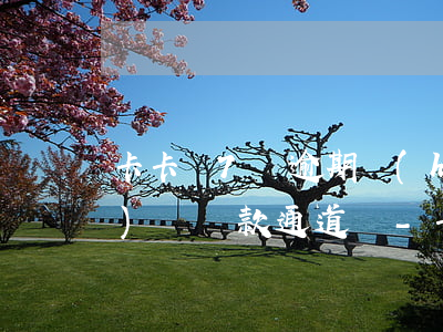 卡卡貸7萬逾期會(huì)關(guān)閉還款通道嗎-卡卡貸逾期了怎么辦