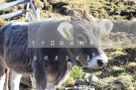 卡卡貸款逾期多久會(卡卡貸逾期3個月說要告我是不是真的)