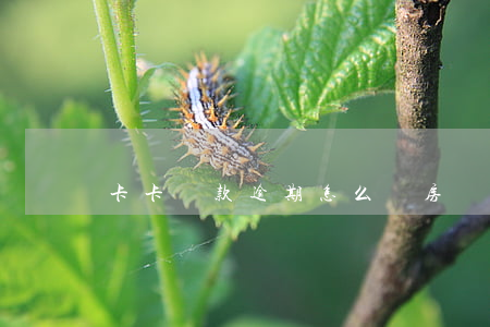 卡卡貸款逾期怎么辦(房貸 信用卡逾期)