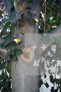 卡卡貸逾期15萬被起訴 欠信用卡15萬被起訴了會(huì)怎么樣
