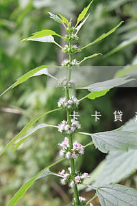 卡卡貸逾期三天怎么辦(貸貸卡逾期怎么辦)