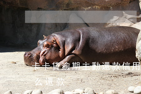 卡卡貸逾期主動還款(信用卡逾期被停卡了怎么還款)