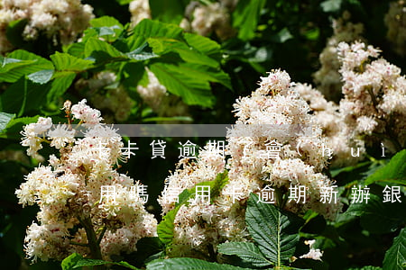 卡卡貸逾期了,會(huì)影響信用卡的使用嗎（信用卡逾期新辦銀行卡會(huì)被劃嗎）