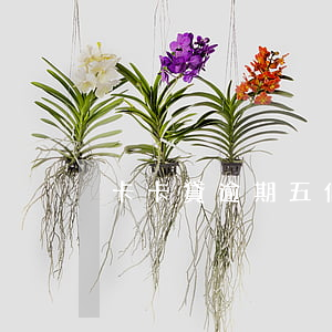 卡卡貸逾期五個月(卡貸惡意逾期)