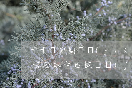 卡卡貸逾期凍結(jié)微信怎么解決(微信 金融卡已被凍結(jié))